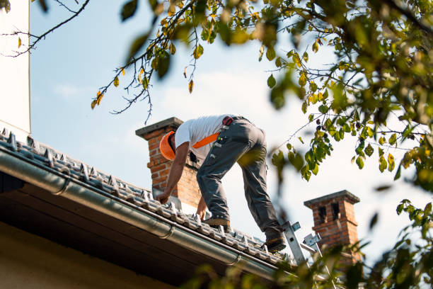 Roof Installation Near Me in Tawas City, MI