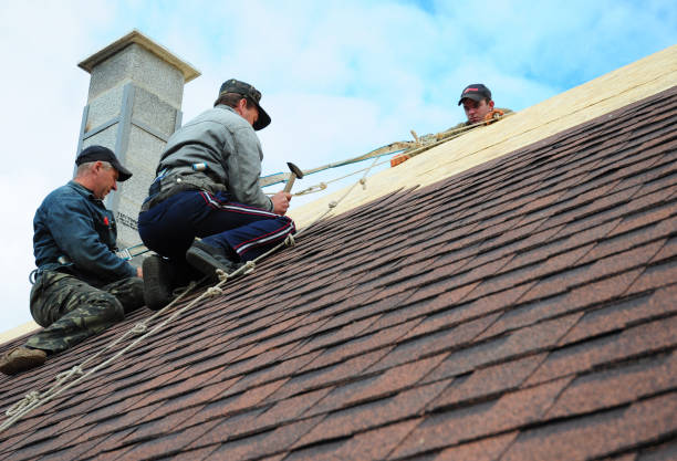 Best Residential Roof Replacement  in Tawas City, MI